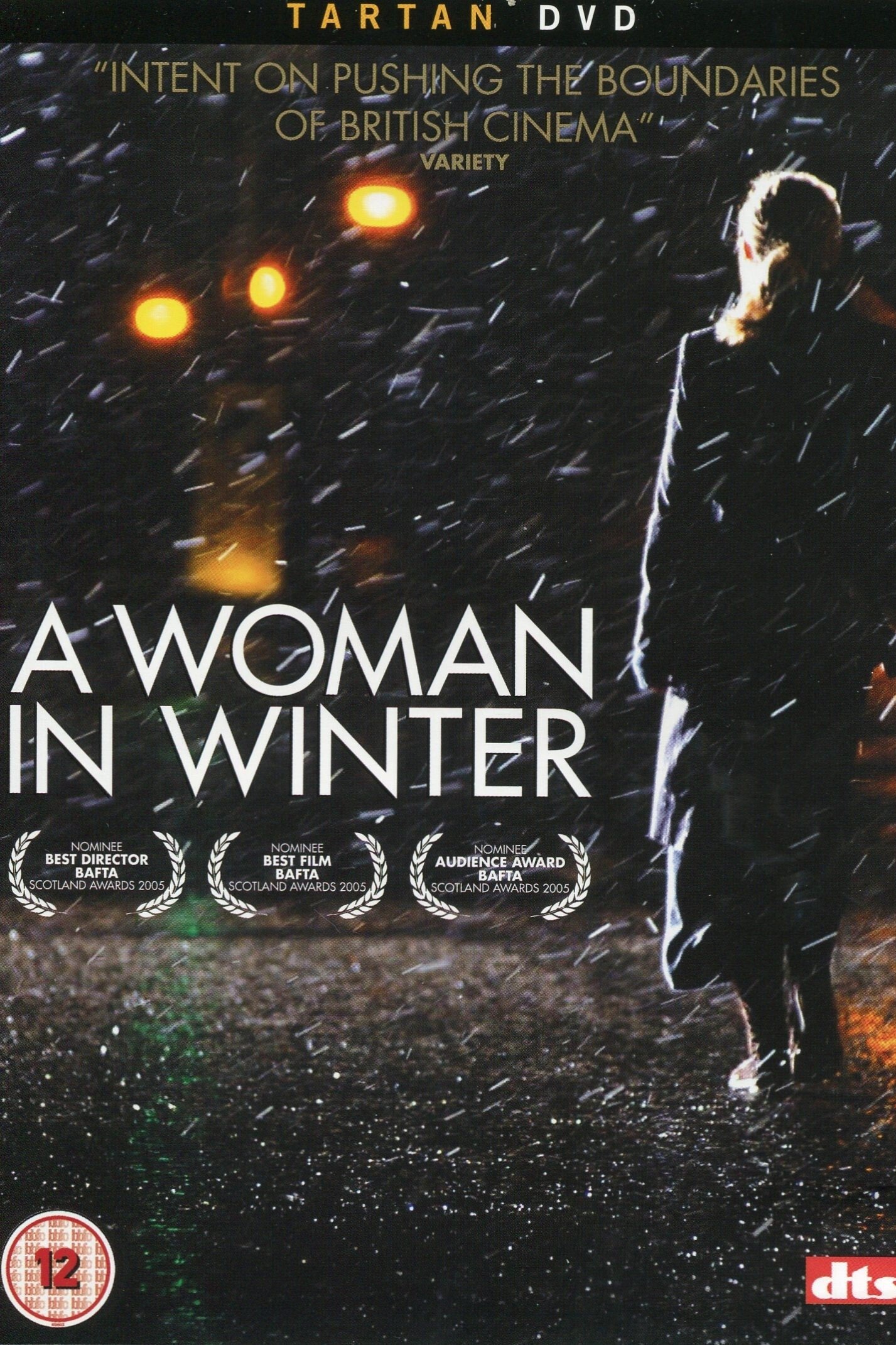 Постер A Woman in Winter